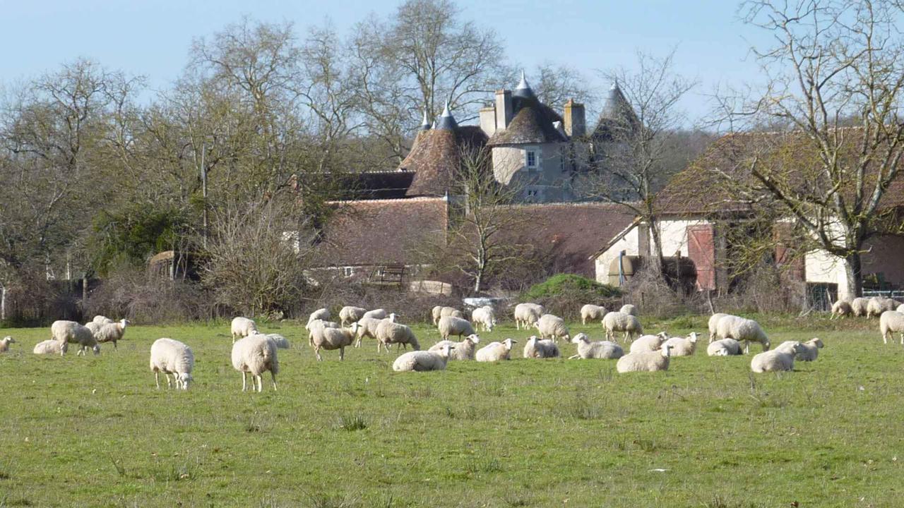Le Logis Alexandra Bnb La Trimouille Exterior photo